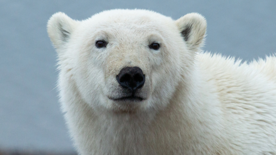 Where Kids Can Play and Learn in the Twin Cities | Counselor Realty